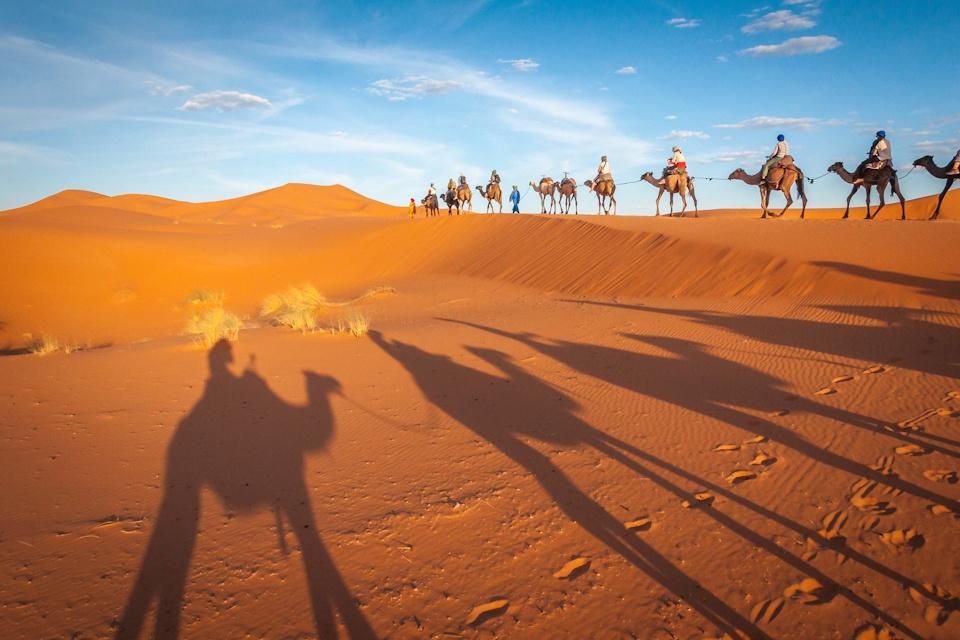 Dubai Desert Safari
