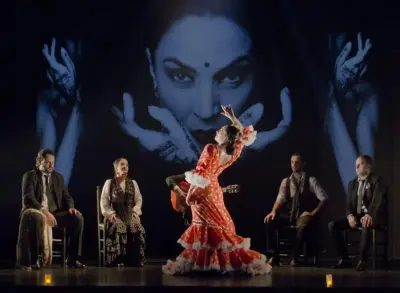 Flamenco Show Madrid